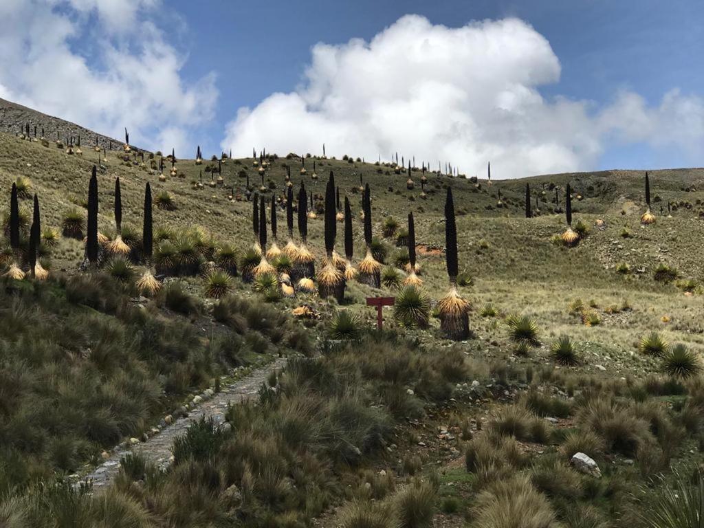 Amazing Huaraz Bed and Breakfast Eksteriør billede