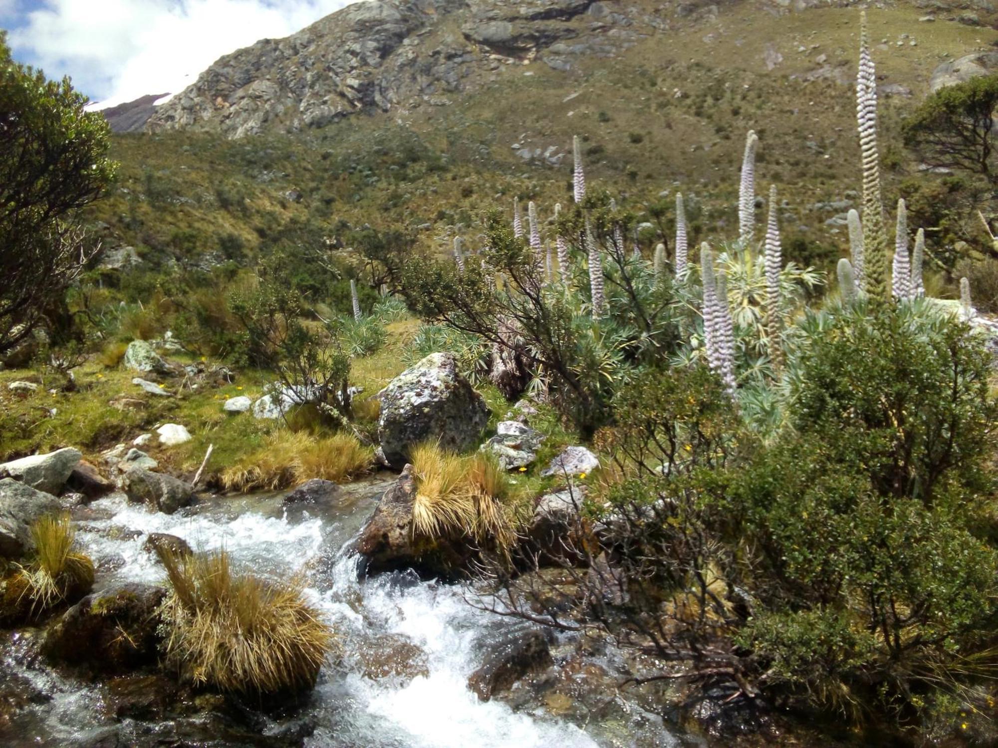 Amazing Huaraz Bed and Breakfast Eksteriør billede