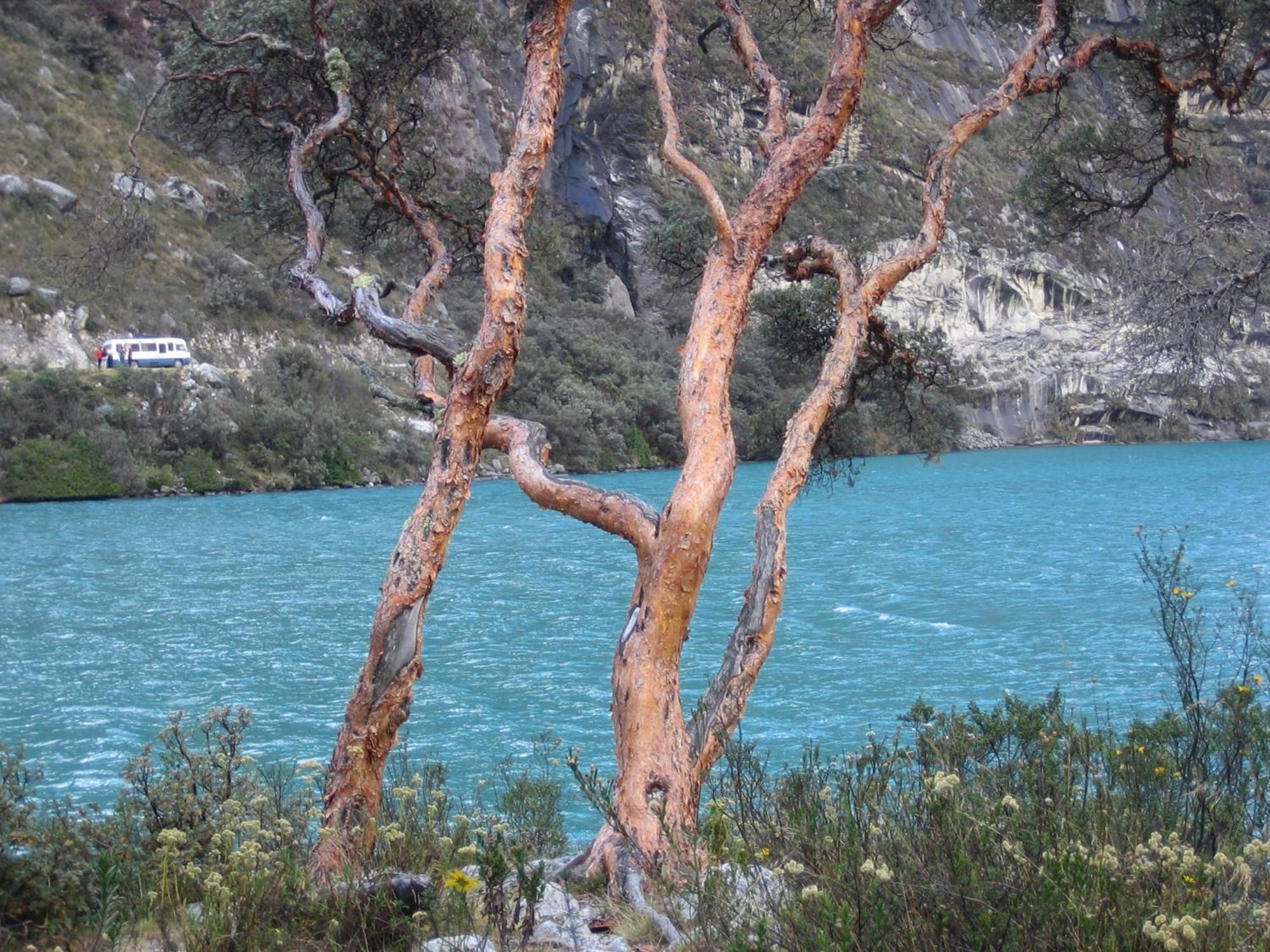 Amazing Huaraz Bed and Breakfast Eksteriør billede